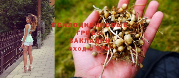 дмт Заволжье