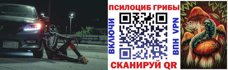 Купить закладки  Нерчинск  Псилоцибиновые грибы ЛСД 
